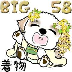 [LINEスタンプ] 【Big】シーズー犬 58『着物』