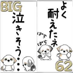 [LINEスタンプ] 【Big】シーズー 62『内緒で送ろう』