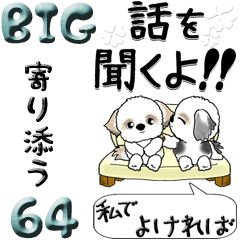 [LINEスタンプ] 【Big】シーズー犬 64『大切な人に』