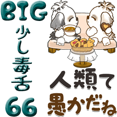 [LINEスタンプ] 【Big】シーズー犬 66『ちょっと毒舌』