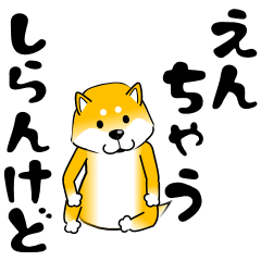 [LINEスタンプ] 真・激しく尻尾をふる柴犬 4【関西弁】