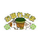 可愛い猫さん達のスタンプ ♡ 小さいサイズ（個別スタンプ：13）