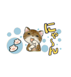 可愛い猫さん達のスタンプ ♡ 小さいサイズ（個別スタンプ：19）