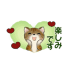 可愛い猫さん達のスタンプ ♡ 小さいサイズ（個別スタンプ：35）