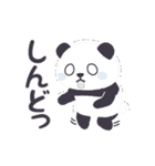 【関西弁】もふもふパンダンミニ（個別スタンプ：14）