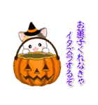 ベビーにゃんこのハロウィン♪（個別スタンプ：6）