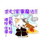 魔法使いにゃんこ♪優しい魔法（個別スタンプ：17）