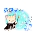 魔法使いにゃんこ♪優しい魔法（個別スタンプ：22）
