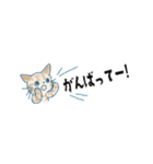 猫たちのヨコナガスタンプ（個別スタンプ：13）