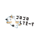 猫たちのヨコナガスタンプ（個別スタンプ：17）