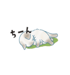 猫たちのヨコナガスタンプ（個別スタンプ：21）
