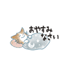 猫たちのヨコナガスタンプ（個別スタンプ：24）