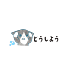 猫たちのヨコナガスタンプ（個別スタンプ：26）