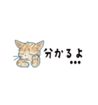 猫たちのヨコナガスタンプ（個別スタンプ：30）