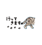 猫たちのヨコナガスタンプ（個別スタンプ：39）