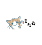 猫たちのヨコナガスタンプ（個別スタンプ：40）