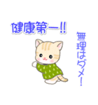 はんてんベビーにゃんこ 優しい毎日（個別スタンプ：24）