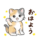 ねこにゃんこのスタンプ★LINEスタンプの日（個別スタンプ：1）