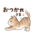 ねこにゃんこのスタンプ★LINEスタンプの日（個別スタンプ：3）