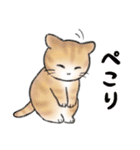 ねこにゃんこのスタンプ★LINEスタンプの日（個別スタンプ：7）