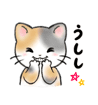 ねこにゃんこのスタンプ★LINEスタンプの日（個別スタンプ：11）