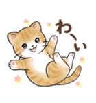 ねこにゃんこのスタンプ★LINEスタンプの日（個別スタンプ：13）