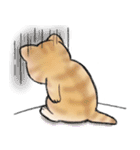 ねこにゃんこのスタンプ★LINEスタンプの日（個別スタンプ：20）