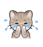 ねこにゃんこのスタンプ★LINEスタンプの日（個別スタンプ：21）