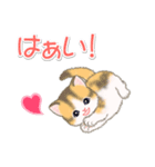 ちびマンチカンの毎日（個別スタンプ：11）