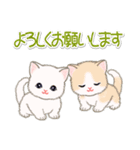 ちびマンチカンの毎日（個別スタンプ：19）