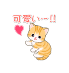 ちびマンチカンの毎日（個別スタンプ：24）