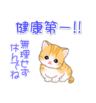 ちびマンチカンの毎日（個別スタンプ：35）