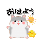 家族の連絡・ハムスター「ハムたん」（個別スタンプ：1）