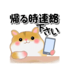 家族の連絡・ハムスター「ハムたん」（個別スタンプ：24）