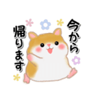 家族の連絡・ハムスター「ハムたん」（個別スタンプ：30）