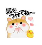 家族の連絡・ハムスター「ハムたん」（個別スタンプ：32）