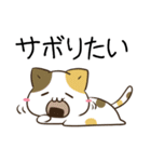 毎日五月病なねこたち4（個別スタンプ：1）