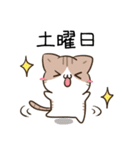 毎日五月病なねこたち4（個別スタンプ：17）
