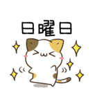 毎日五月病なねこたち4（個別スタンプ：18）