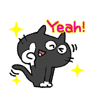 黒猫リアクション。（個別スタンプ：25）