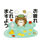 可愛い猫さん達の日常スタンプ ♡ 秋冬編（個別スタンプ：19）