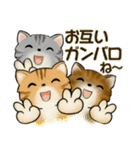 可愛い猫さん達の日常スタンプ ♡ 秋冬編（個別スタンプ：30）
