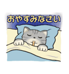 可愛い猫さん達の日常スタンプ ♡ 秋冬編（個別スタンプ：40）
