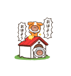 PUPPY BROWN（個別スタンプ：12）