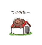 PUPPY BROWN（個別スタンプ：22）