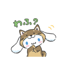 サンリオキャラクターズ（なりきりこいぬ）（個別スタンプ：19）