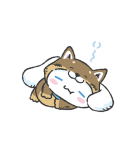 サンリオキャラクターズ（なりきりこいぬ）（個別スタンプ：34）