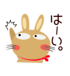 毎日、茶うさぎサン（個別スタンプ：1）
