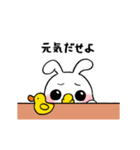 動く！ツンデレ赤ちゃんうさぎ（個別スタンプ：11）