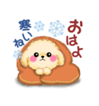 かわいいトイプードル「冬」（個別スタンプ：2）